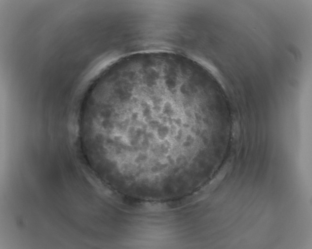 X0000114131407200910221454