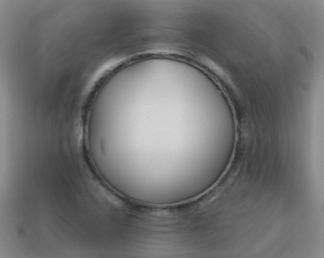 X0000114131408200910221454