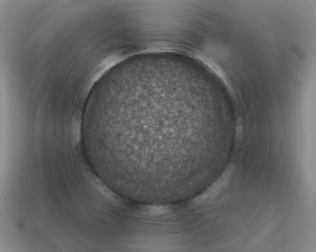 X0000114131409200910221454