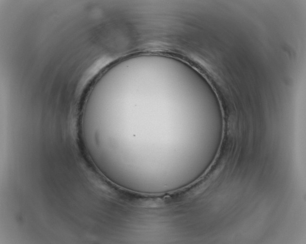 X0000114131410200910221455