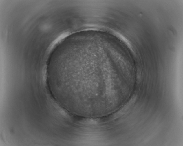 X0000114131411200910221455