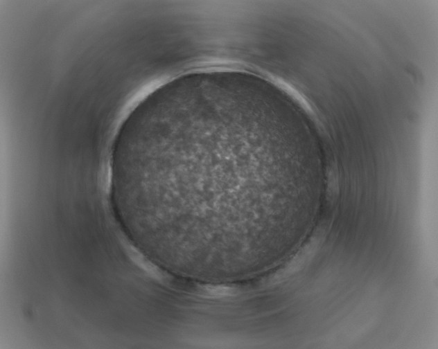 X0000114131413200910221455