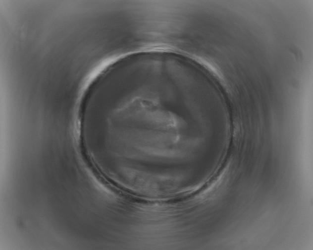 X0000114131414200910221455