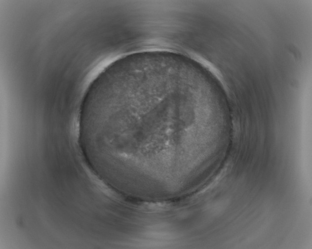 X0000114131415200910221455