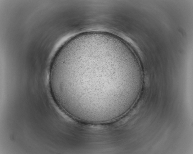 X0000114131416200910221455