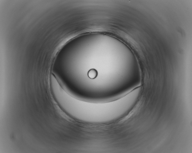 X0000114131417200910221455