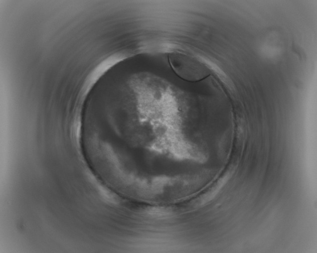 X0000114131418200910221455