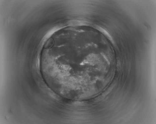 X0000114131419200910221455