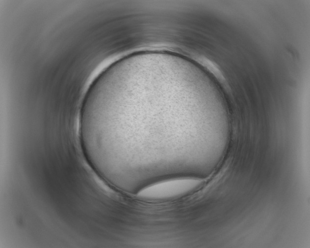 X0000114131420200910221455