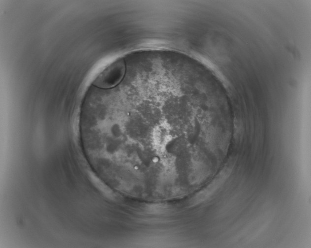 X0000114131421200910221455