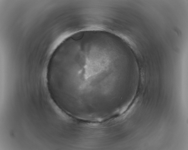 X0000114131422200910221455