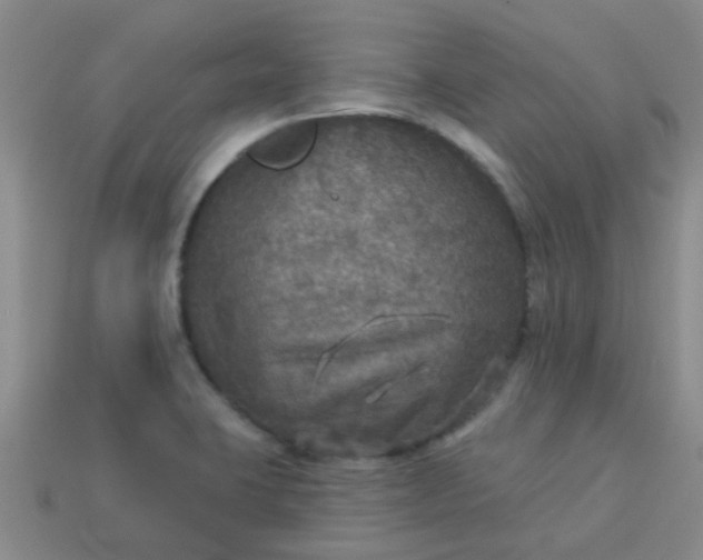 X0000114131423200910221455