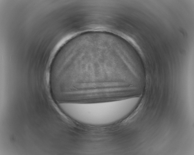 X0000114131424200910221455