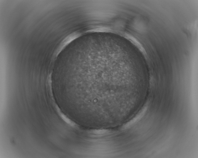 X0000114131425200910221455