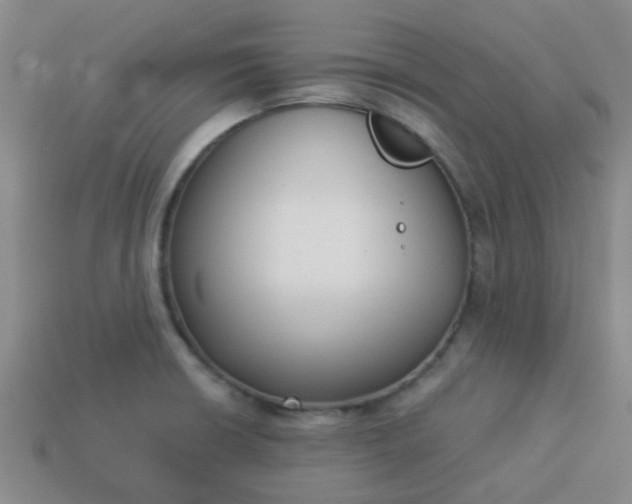 X0000114131426200910221455