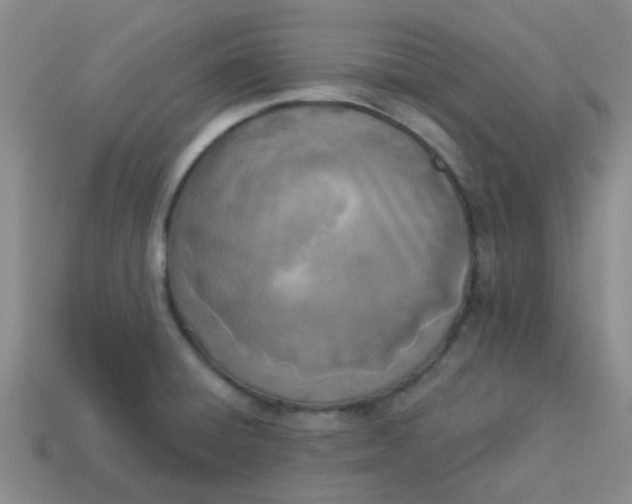 X0000114131428200910221455