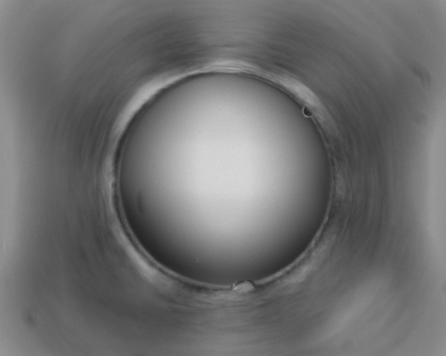 X0000114131430200910221455