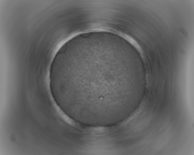 X0000114131431200910221455