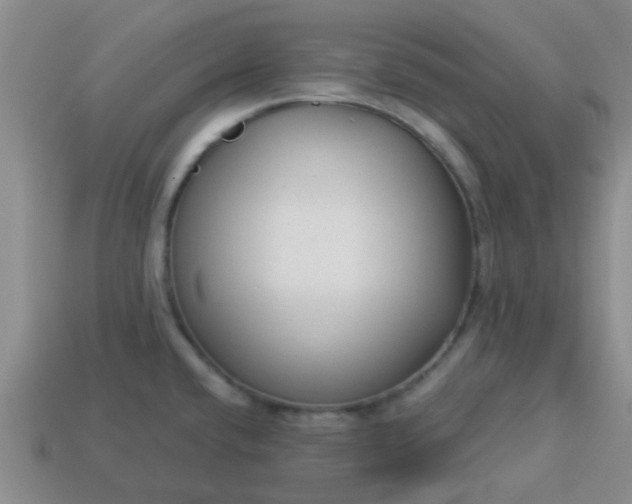 X0000114131432200910221455