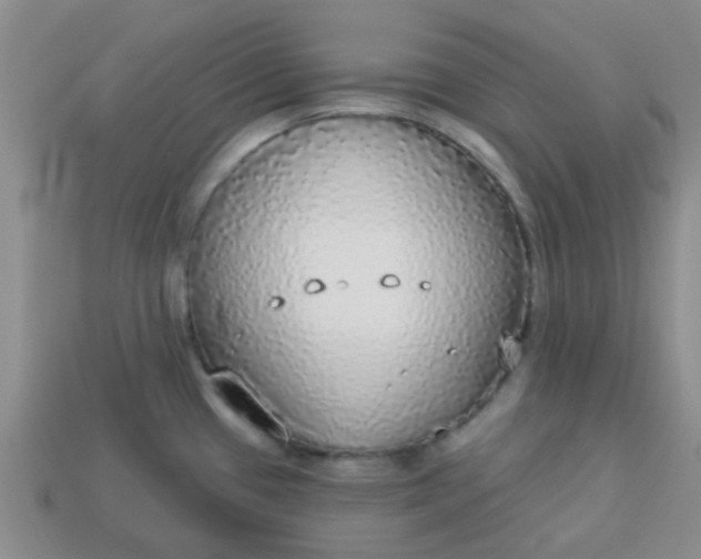 X0000114131433200910221455