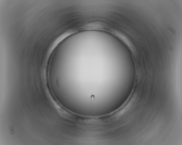 X0000114131434200910221455