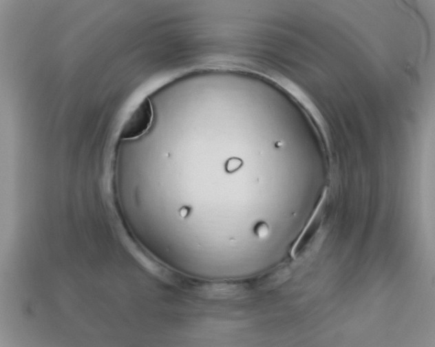 X0000114131437200910221455