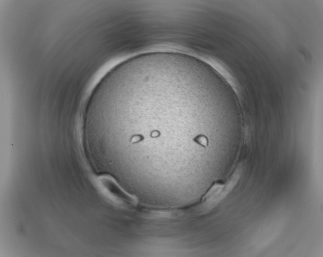 X0000114131438200910221455