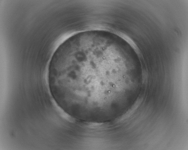 X0000114131439200910221455