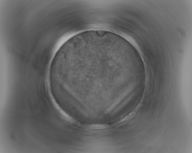 X0000114131440200910221455