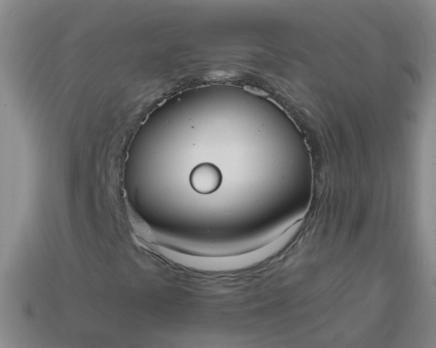 X0000114131441200910221454