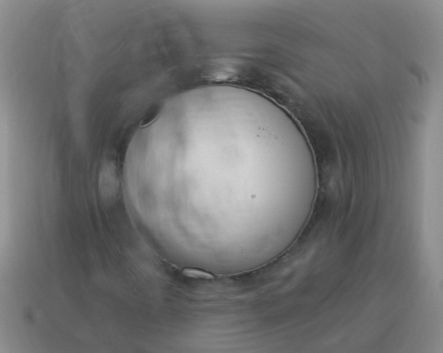 X0000114131442200910221454