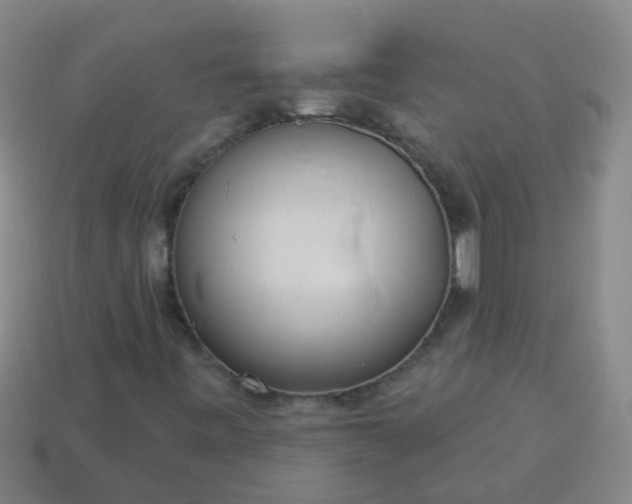 X0000114131443200910221454