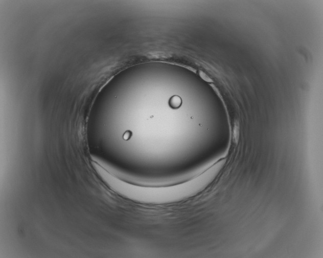 X0000114131444200910221454