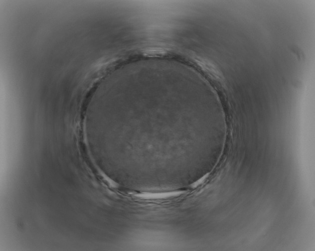 X0000114131445200910221454