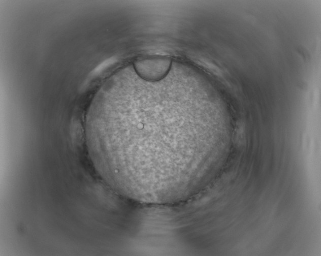 X0000114131446200910221454