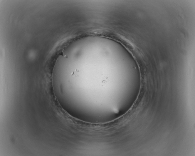 X0000114131447200910221454