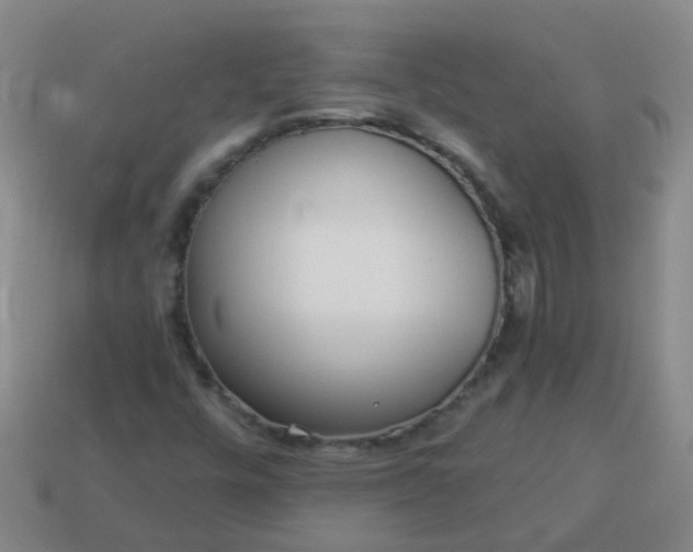 X0000114131448200910221454