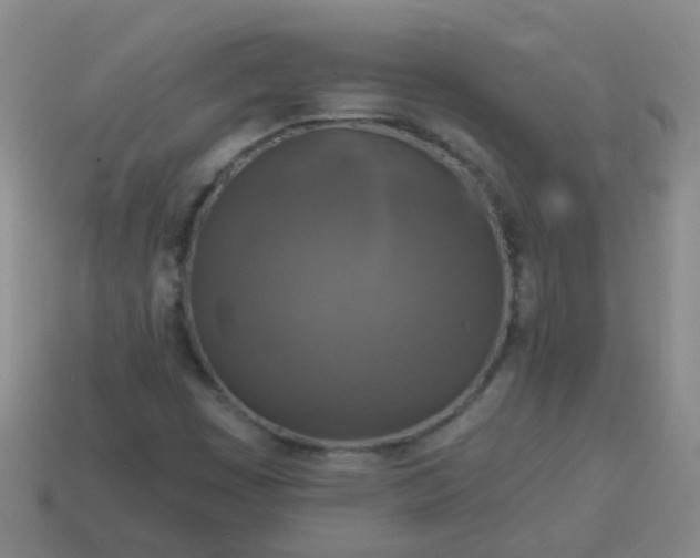 X0000114131449200910221454