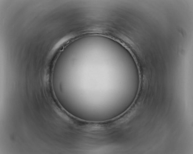 X0000114131450200910221454