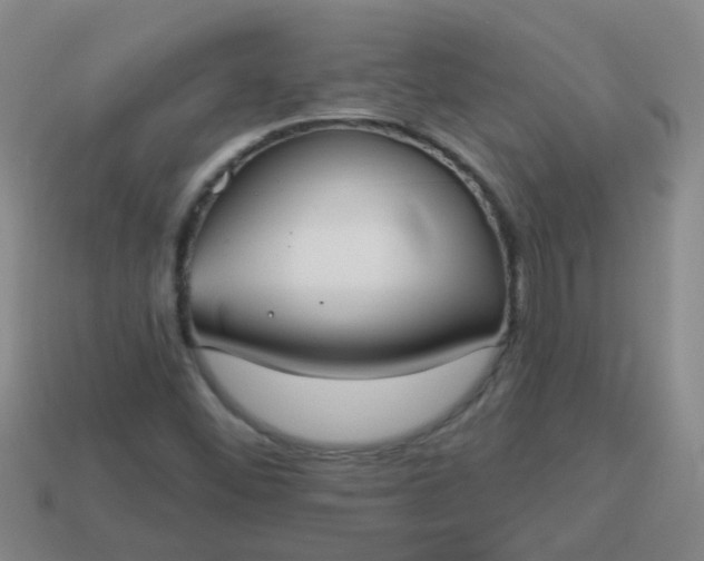 X0000114131452200910221454