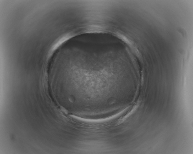 X0000114131453200910221454