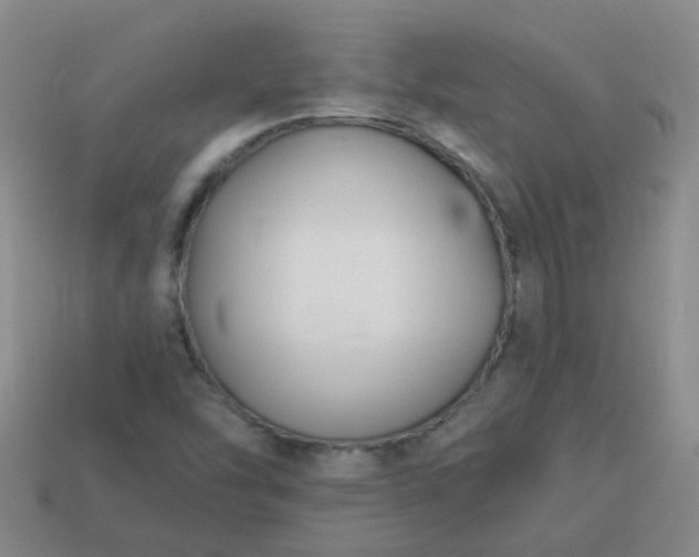 X0000114131454200910221454