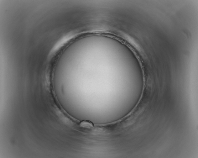 X0000114131456200910221454