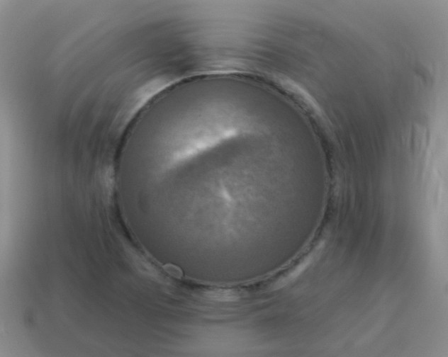 X0000114131457200910221454