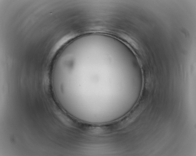 X0000114131458200910221454