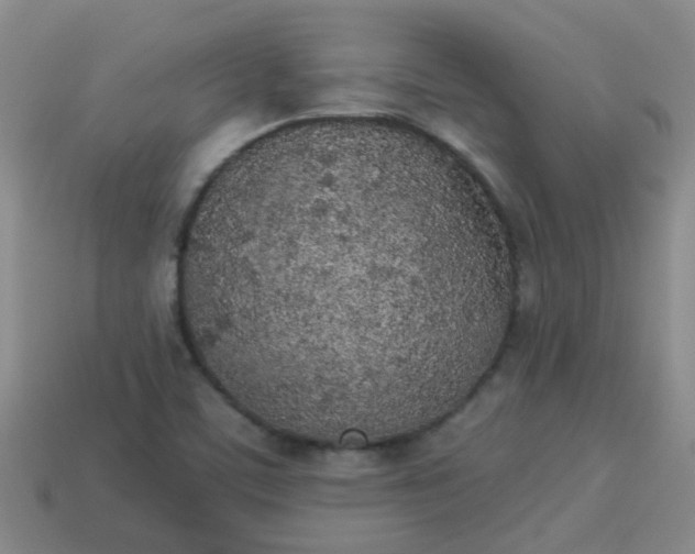 X0000114131459200910221454