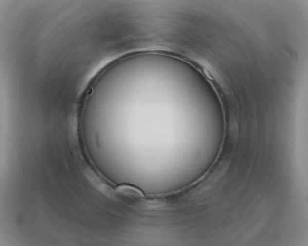 X0000114131460200910221454