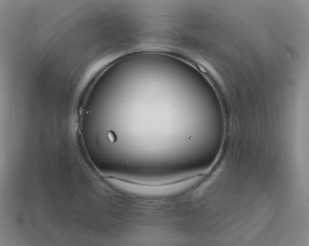 X0000114131461200910221454