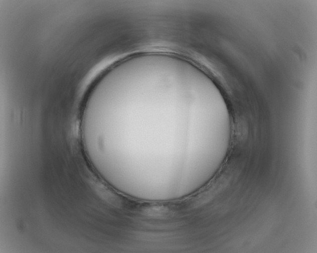 X0000114131462200910221454