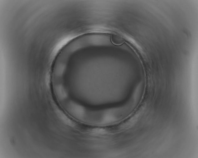 X0000114131463200910221454